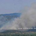 fotia_315-660x330.jpg