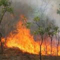 Συναγερμός για πυρκαγιά κοντά σε ταβέρνα στη Ζούρβα Χανίων