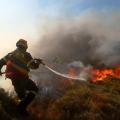 Παλεύουν με τις φλόγες και τον άνεμο οι πυροσβέστες στους Βώρους 