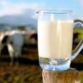 Κατά της επιμήκυνσης της διάρκειας ζωής του φρέσκου γάλακτος, δηλώνει ο Μ. Χαρακόπουλος