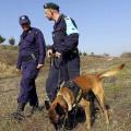 frontex2.jpg