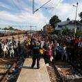 fyrom-immigrants.jpg
