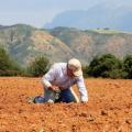 Καταβάλλεται η πρώτη δόση της εξισωτικής αποζημίωσης στους γεωργούς