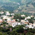 Πως ένας κροκόδειλος φέρνει ... ανάπτυξη στο Δήμο Αμαρίου