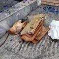 Πέταξαν κεφάλι γουρουνιού έξω από το Ελληνοαραβικό Επιμορφωτικό Κέντρο