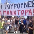 Στη Βουλή το θέμα με τις &quot;γουρούνες&quot; στα Μάλια