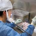 Κίνα: Νέο θανατηφόρο στέλεχος της γρίπης των πτηνών