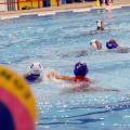 gynaikespolo2-28ba6.jpg