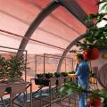 h_mars_crops_02.jpg