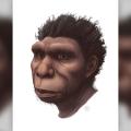 Homo bodoensis