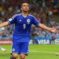 ibisevic.jpg