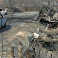 &quot;Καταπέλτης&quot; ο εισαγγελέας για τους κατηγορούμενους στις φονικές πυρκαγιές της Ηλείας