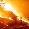 image.adapt_.960.high_.california_fire_0803_02a.jpg