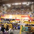 img_8365.jpg