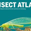 insect atlas