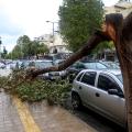 Έσπασε κλαδί δέντρου και έπεσε στο οδόστρωμα στη λ. Δημοκρατίας