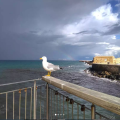 kalimera.png