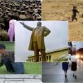 kim22-768x599.jpg