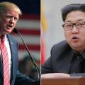 kim_tr_1.jpg