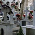 Κοιμητήριο Φορτέτσας - Πίσω παίρνει το υπουργείο την υπόσχεση για την επέκταση