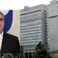 Κοντολέοντα