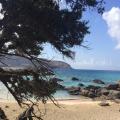 Ύμνοι για μία παραλία - παράδεισο στην Κρήτη
