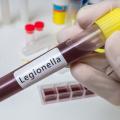 legionella-disease.jpg