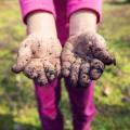 let-your-kid-eat-dirt.jpg