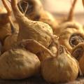 Maca: Το βότανο του σεξ και της υγείας!