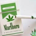   Η Phillip Morris θα παράξει τσιγάρα με μαριχουάνα 