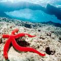 H Κρήτη αποφασισμένη να φτάσει στη ρότα του Cape Ray για να εμποδίσει την υδρόλυση