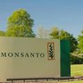 monsanto.jpg