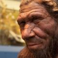 neanderthal.jpg