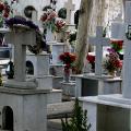 Θρίλερ με τη γυναίκα που θάφτηκε ζωντανή