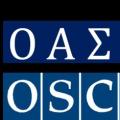  Ομάδα διαπραγματευτών για την απελευθέρωση των παρατηρητών του που κρατούνται στην ανατολική Ουκρανία στέλνει ο ΟΑΣΕ