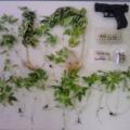 Με ναρκωτικά και όπλα, 32χρονος στον δήμο Φαιστού