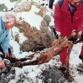 Η αρχαιότερη μούμια της Ευρώπης (φωτογραφίες)