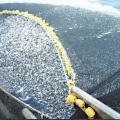 Η υπεραλίευση μειώνει τα ψάρια στη Μεσόγειο, προειδοποιούν οι επιστήμονες 