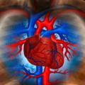 Ανακαλυψη: Νέα μέθοδος αναπλάθει τα κύτταρα της καρδιάς