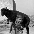 Παντελάκις - Φωτογραφία Δημήτρης Χουστουλάκης
