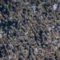paok_fans.jpg