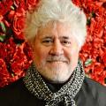 pedro-almodovar.jpg