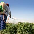 pesticides.jpg