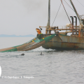 Αλιείς και Αρχιπέλαγος στο Υπουργείο για τα προβλήματα της Ελληνικής Αλιείας‏