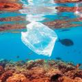 Η πλαστική σακκούλα &quot;πνίγει&quot; τις θάλασσες