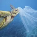 πλαστική σακούλα θάλασσα