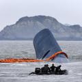 Στους 128 έχει φτάσει ο απολογισμός των νεκρών από τη βύθιση του νοτιοκορεάτικου πλοίου
