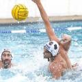 polo-ofi.jpg