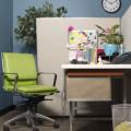 Τα φυτά στο γραφείο αυξάνουν την παραγωγικότητα των εργαζομένων