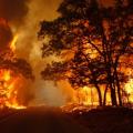 Η Πυροσβεστική Ηρακλείου ενημερώνει για τις πυρκαγιές